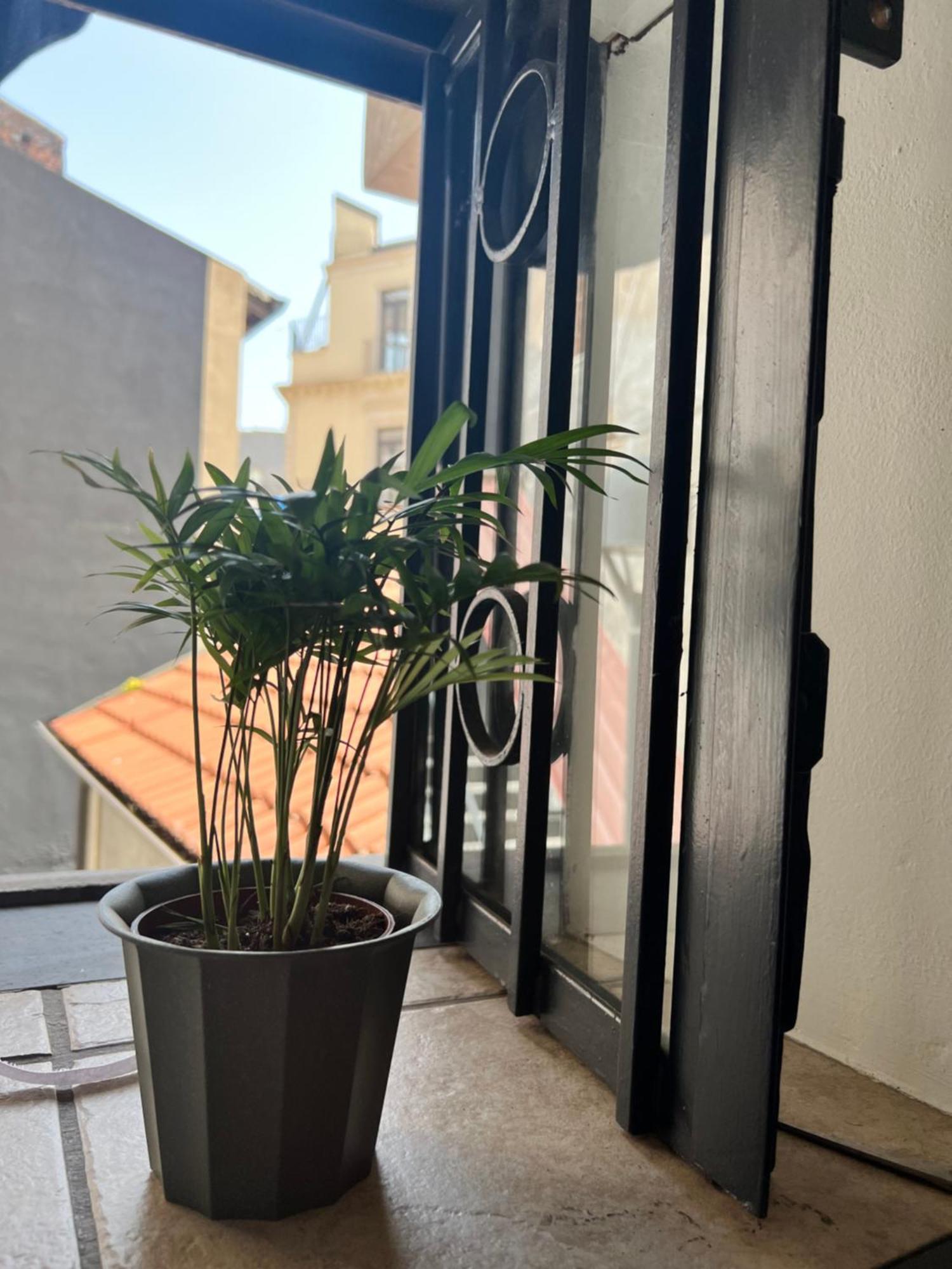 Catania,Sicilia,Italia Barcaioli'S Home Extérieur photo